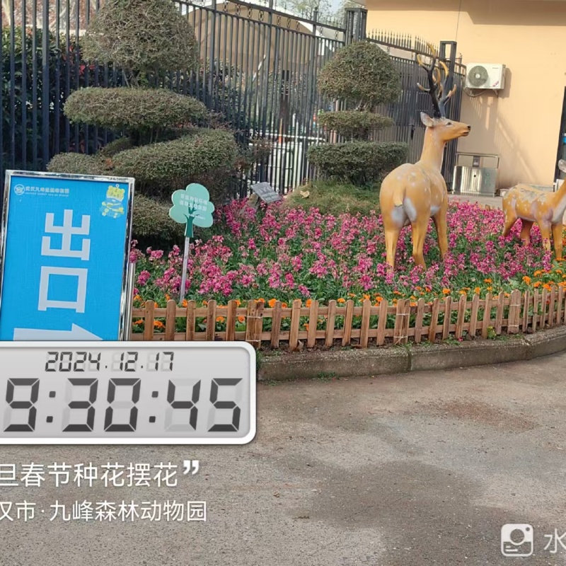 绿化养护