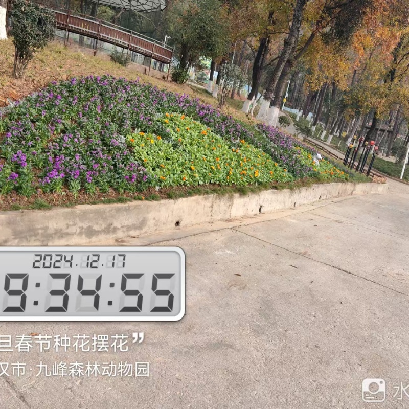 绿化养护