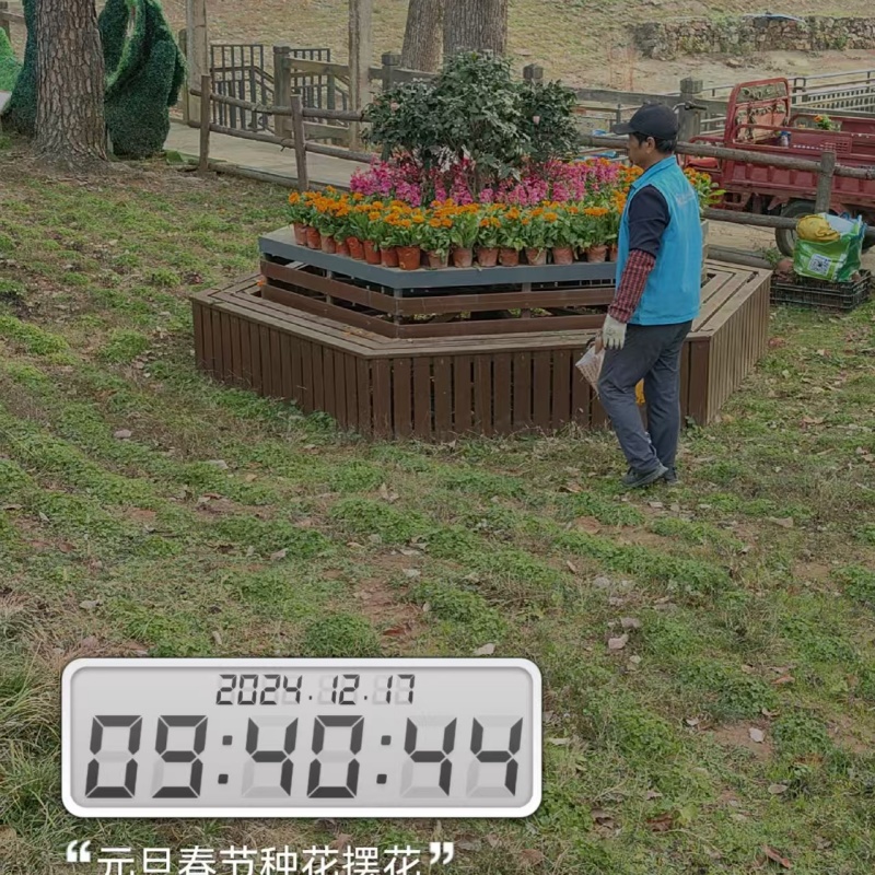 绿化养护